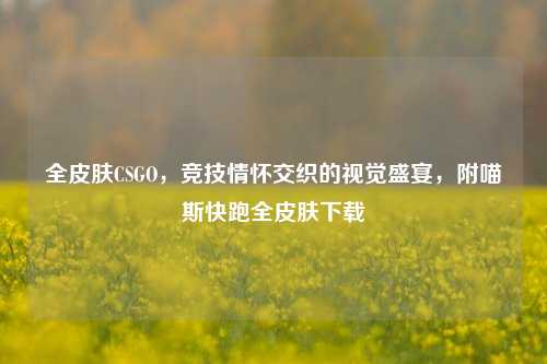 全皮肤CSGO，竞技情怀交织的视觉盛宴，附喵斯快跑全皮肤下载