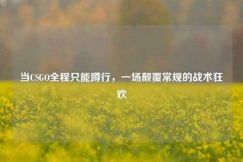 当CSGO全程只能蹲行，一场颠覆常规的战术狂欢