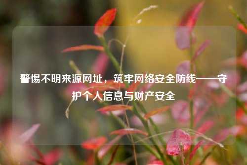 警惕不明来源网址，筑牢 *** 安全防线——守护个人信息与财产安全