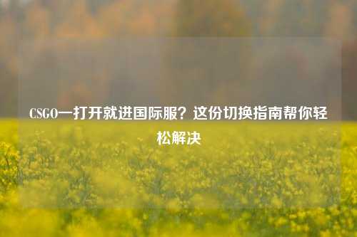 CSGO一打开就进国际服？这份切换指南帮你轻松解决