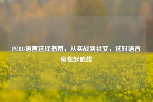 PUBG语言选择指南，从实战到社交，选对语音赢在起跑线