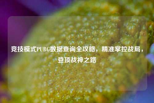 竞技模式PUBG数据查询全攻略，精准掌控战局，登顶战神之路