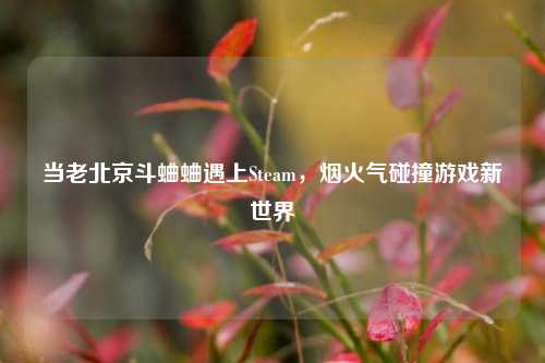 当老北京斗蛐蛐遇上Steam，烟火气碰撞游戏新世界