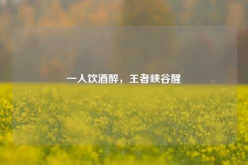 一人饮酒醉，王者峡谷醒