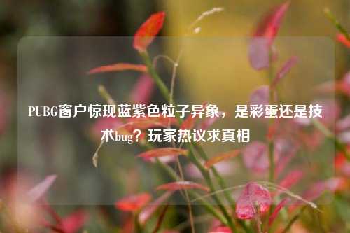 PUBG窗户惊现蓝紫色粒子异象，是彩蛋还是技术bug？玩家热议求真相
