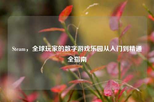 Steam，全球玩家的数字游戏乐园从入门到精通全指南
