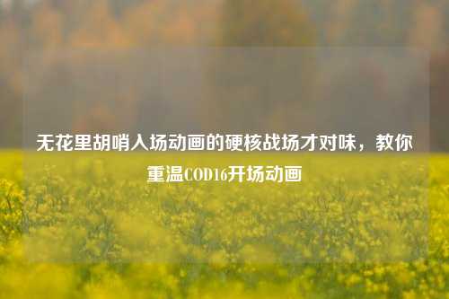 无花里胡哨入场动画的硬核战场才对味，教你重温COD16开场动画