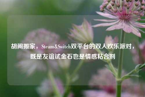 胡闹搬家，Steam&Switch双平台的双人欢乐派对，既是友谊试金石也是情感粘合剂