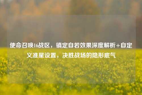 使命召唤16战区，镇定自若效果深度解析+自定义准星设置，决胜战场的隐形底气
