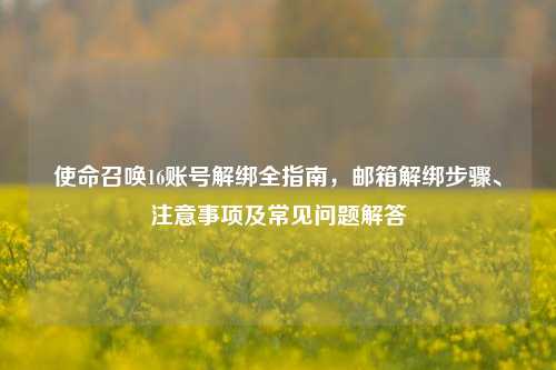 使命召唤16账号解绑全指南，邮箱解绑步骤、注意事项及常见问题解答