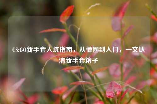 CS:GO新手套入坑指南，从懵圈到入门，一文认清新手套箱子