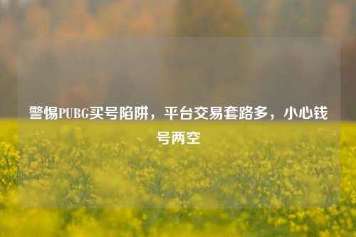 警惕PUBG买号陷阱，平台交易套路多，小心钱号两空