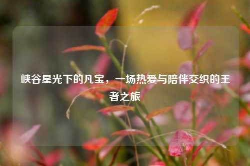 峡谷星光下的凡宝，一场热爱与陪伴交织的王者之旅