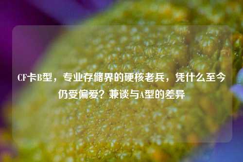 CF卡B型，专业存储界的硬核老兵，凭什么至今仍受偏爱？兼谈与A型的差异