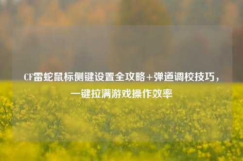 CF雷蛇鼠标侧键设置全攻略+弹道调校技巧，一键拉满游戏操作效率