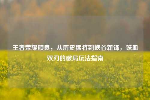 王者荣耀颜良，从历史猛将到峡谷新锋，铁血双刃的破局玩法指南