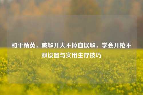 和平精英，破解开大不掉血误解，学会开枪不飘设置与实用生存技巧