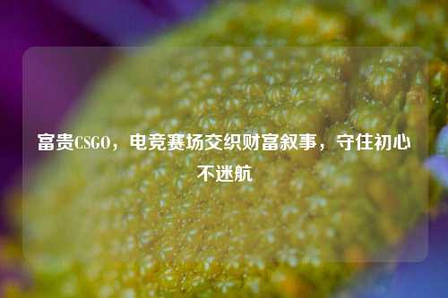 富贵CSGO，电竞赛场交织财富叙事，守住初心不迷航