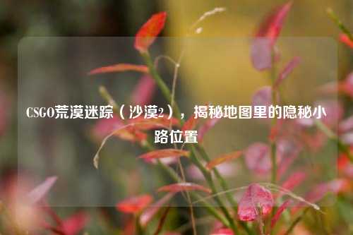 CSGO荒漠迷踪（沙漠2），揭秘地图里的隐秘小路位置