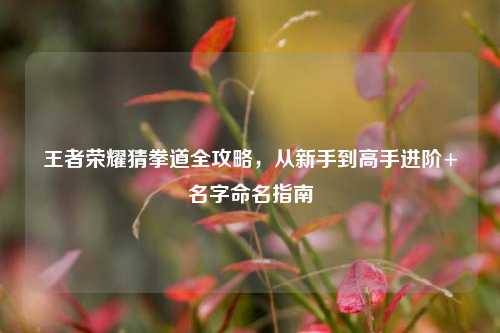 王者荣耀猜拳道全攻略，从新手到高手进阶+名字命名指南