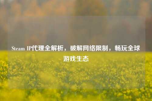 Steam IP代理全解析,破解网络限制,畅玩全球游戏生态