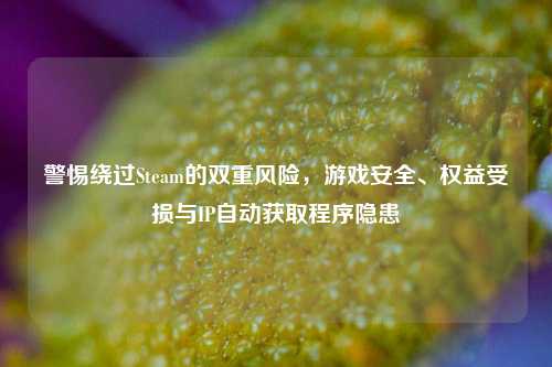 警惕绕过Steam的双重风险，游戏安全、权益受损与IP自动获取程序隐患