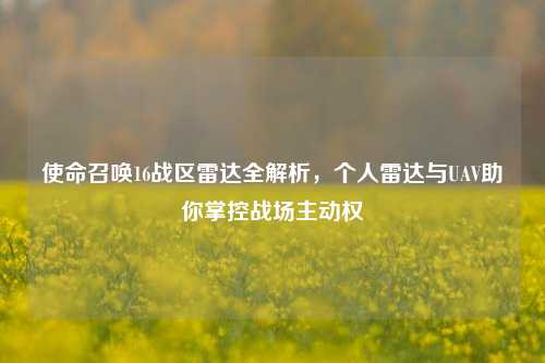 使命召唤16战区雷达全解析，个人雷达与UAV助你掌控战场主动权