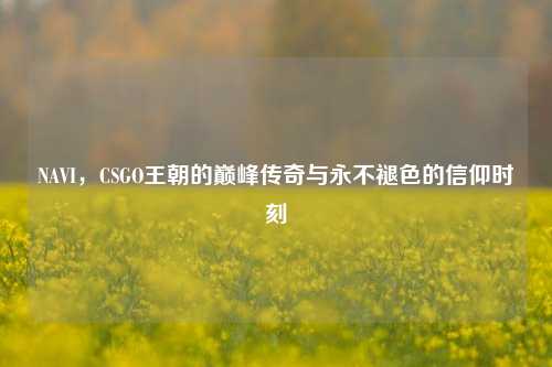 NAVI，CSGO王朝的巅峰传奇与永不褪色的信仰时刻