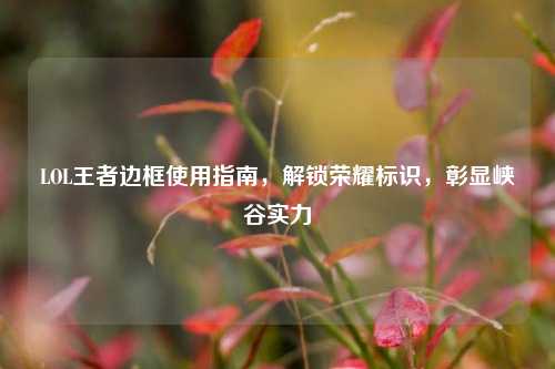 LOL王者边框使用指南，解锁荣耀标识，彰显峡谷实力