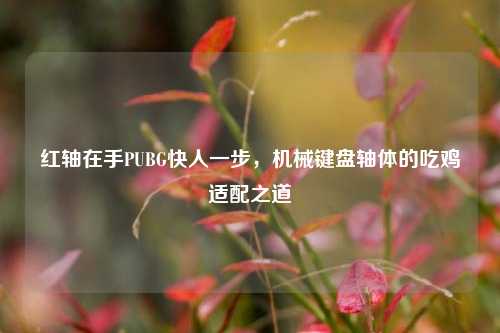红轴在手PUBG快人一步，机械键盘轴体的吃鸡适配之道
